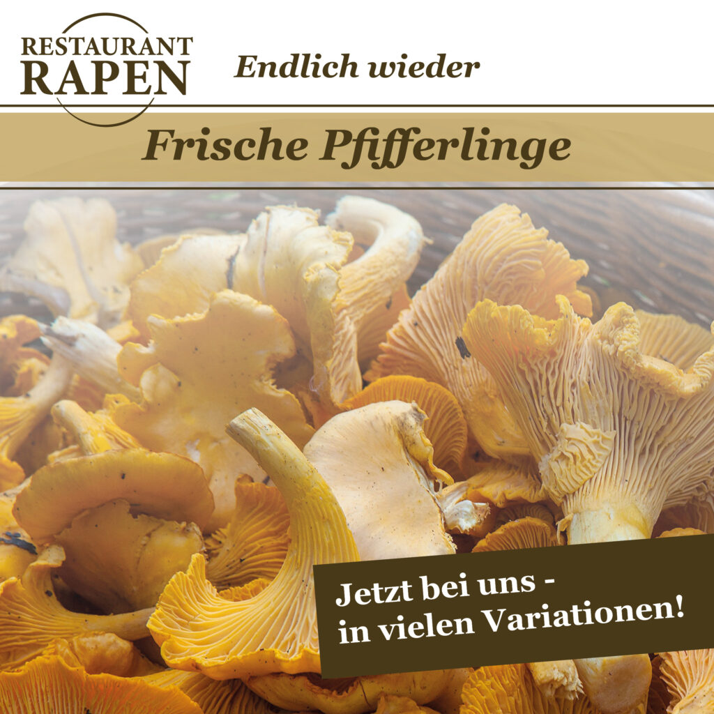 Frische Pfifferlinge im Haus Rapen bei Milo